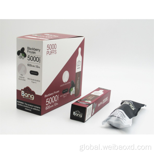 Bang Disposable Recharged Electronic Cigarettes 5000 Puffs